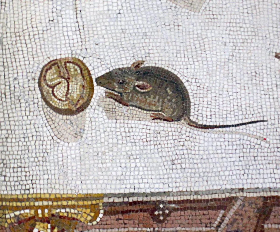 2nd century floor mosaic of Rattus eating a nut, Vatican Museum